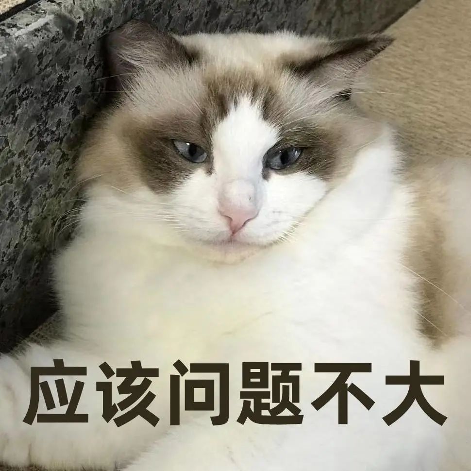 DƬ